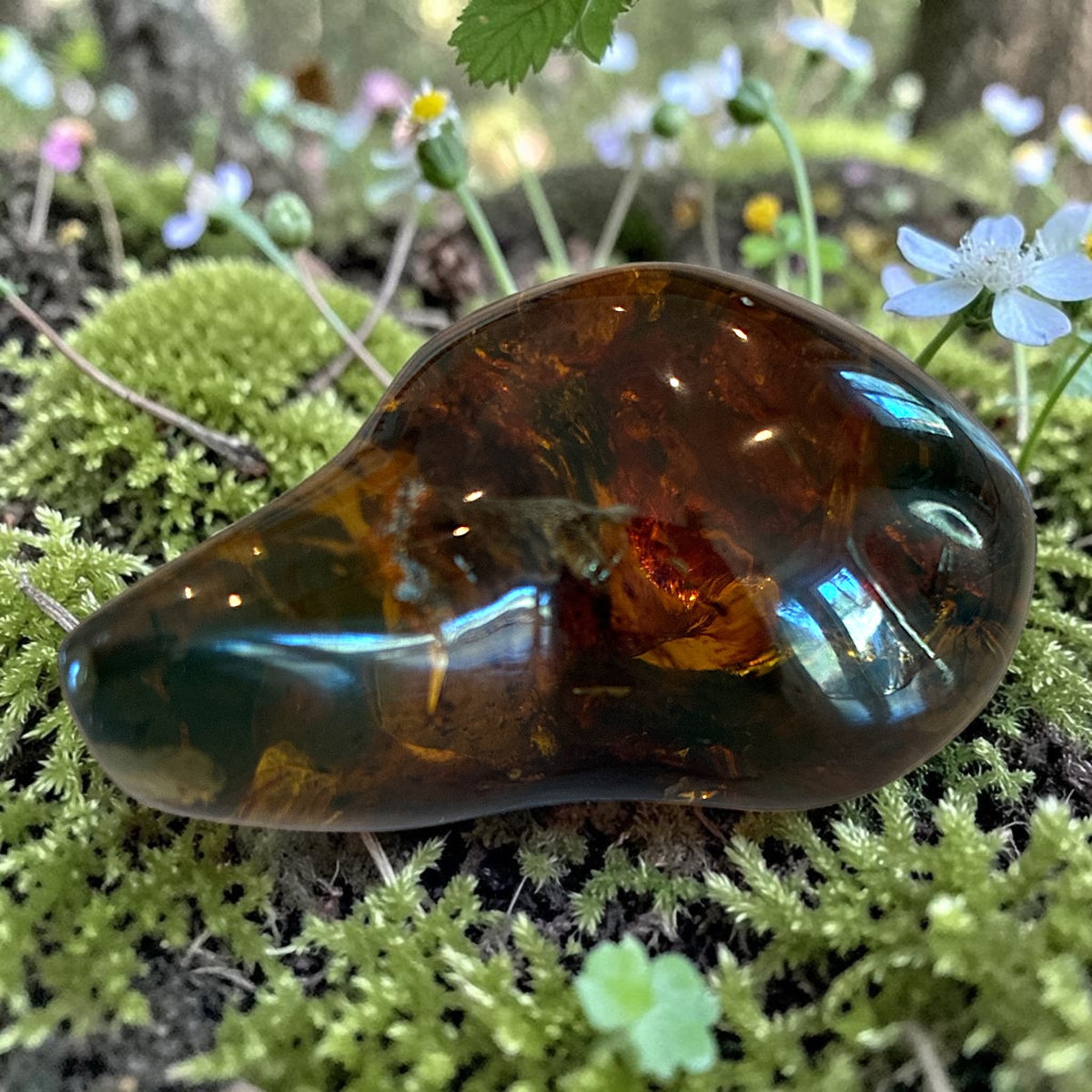 Amber Freeform - Simojovel, Chiapas, Mx, 27.4g