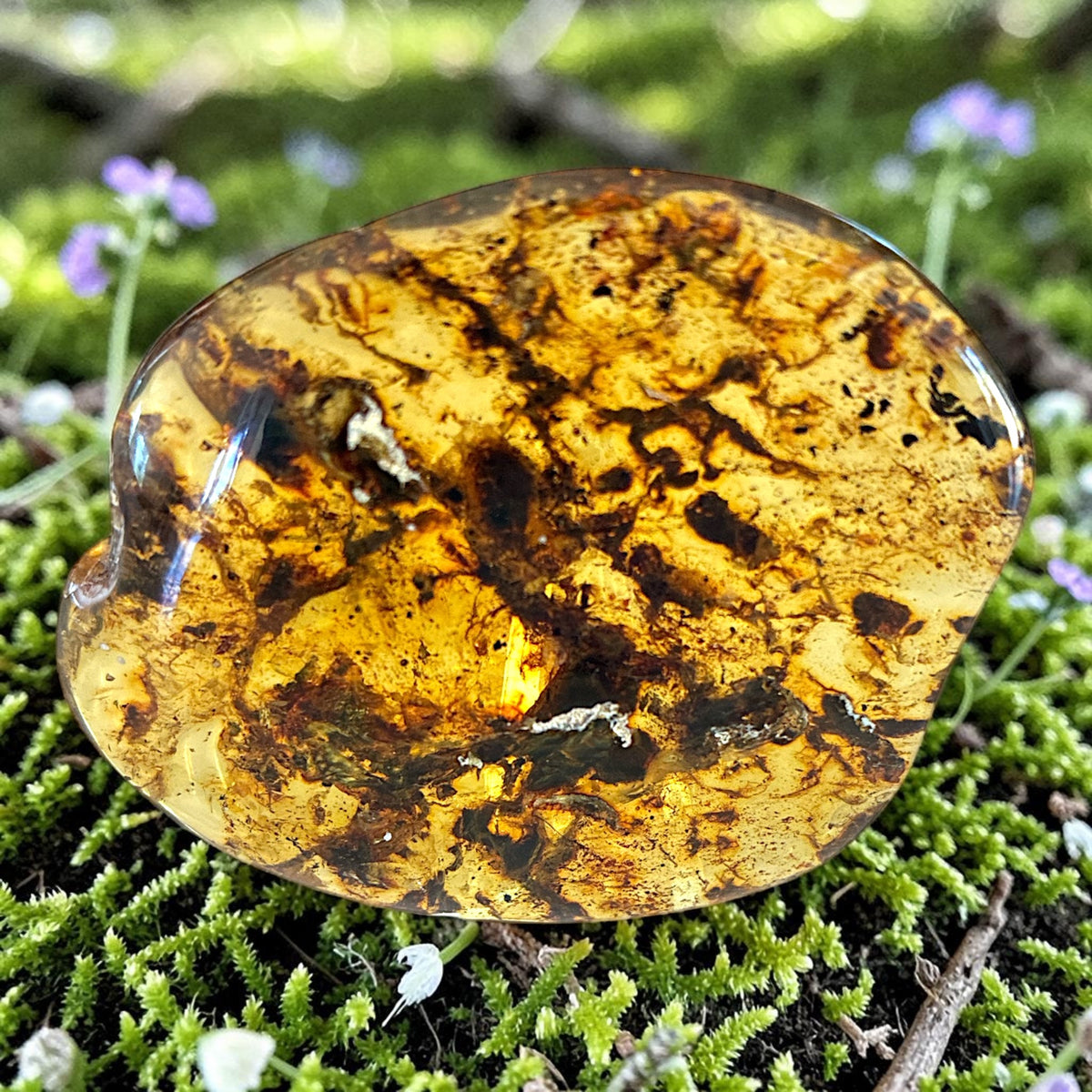 Amber Freeform - Simojovel, Chiapas, Mx, 13.7g