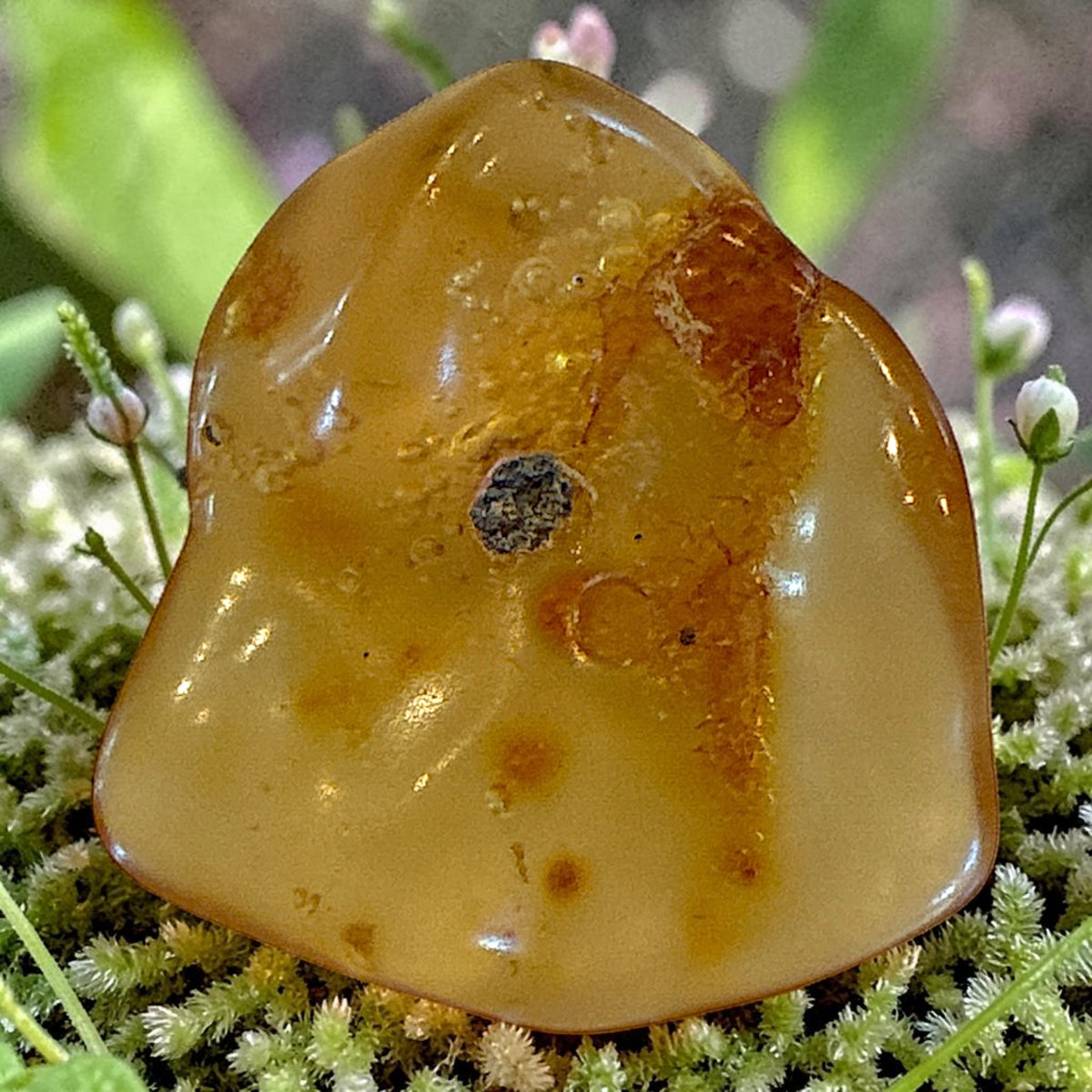 Amber Freeform -Columbia, 3.8g
