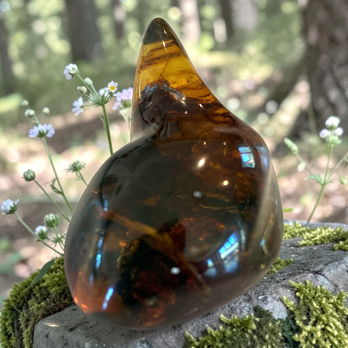 Amber Freeform - Simojovel, Chiapas, Mx, 27.4g