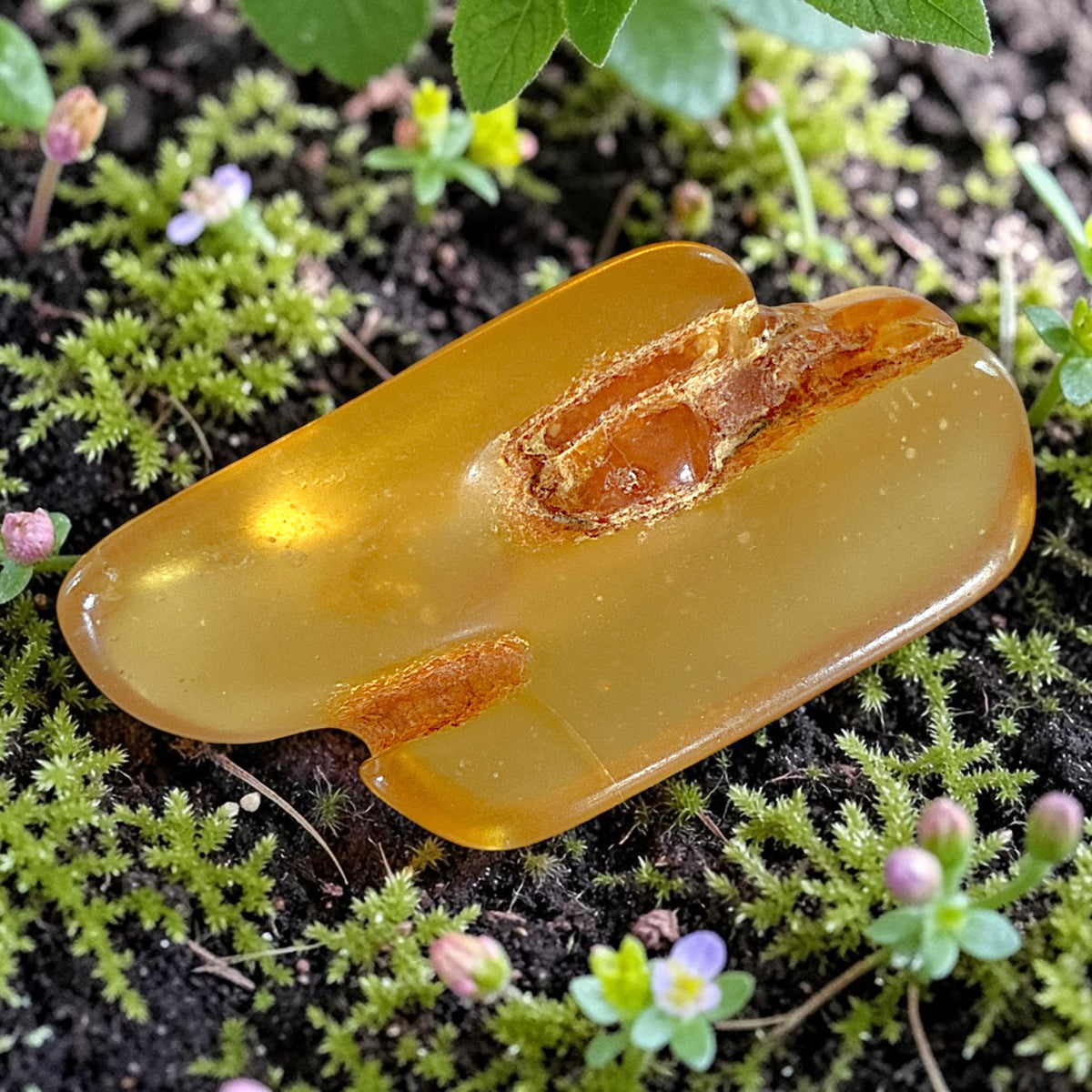 Amber Freeform - Colombia, 9.8g