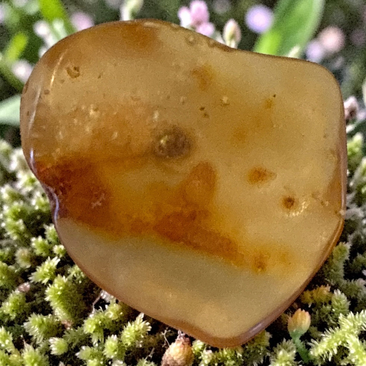 Amber Freeform -Columbia, 3.8g