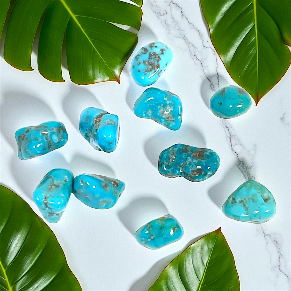 Turquoise Tumbled - Campitos, Mx, 11.4g