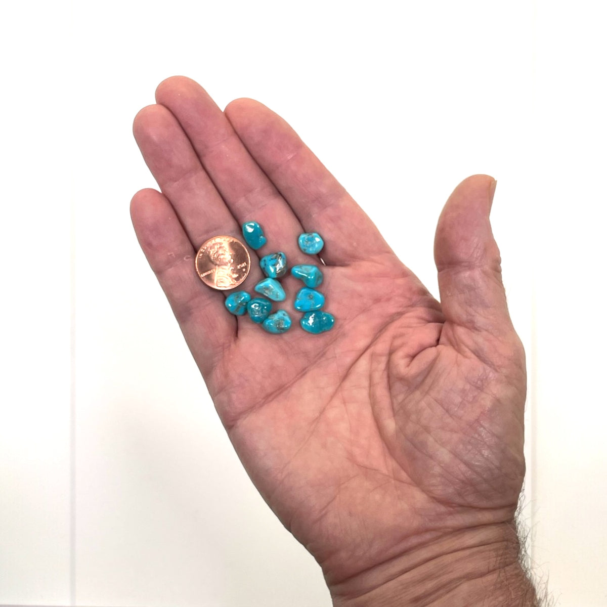 Turquoise Tumbled - Campitos, Mx, 5.8g