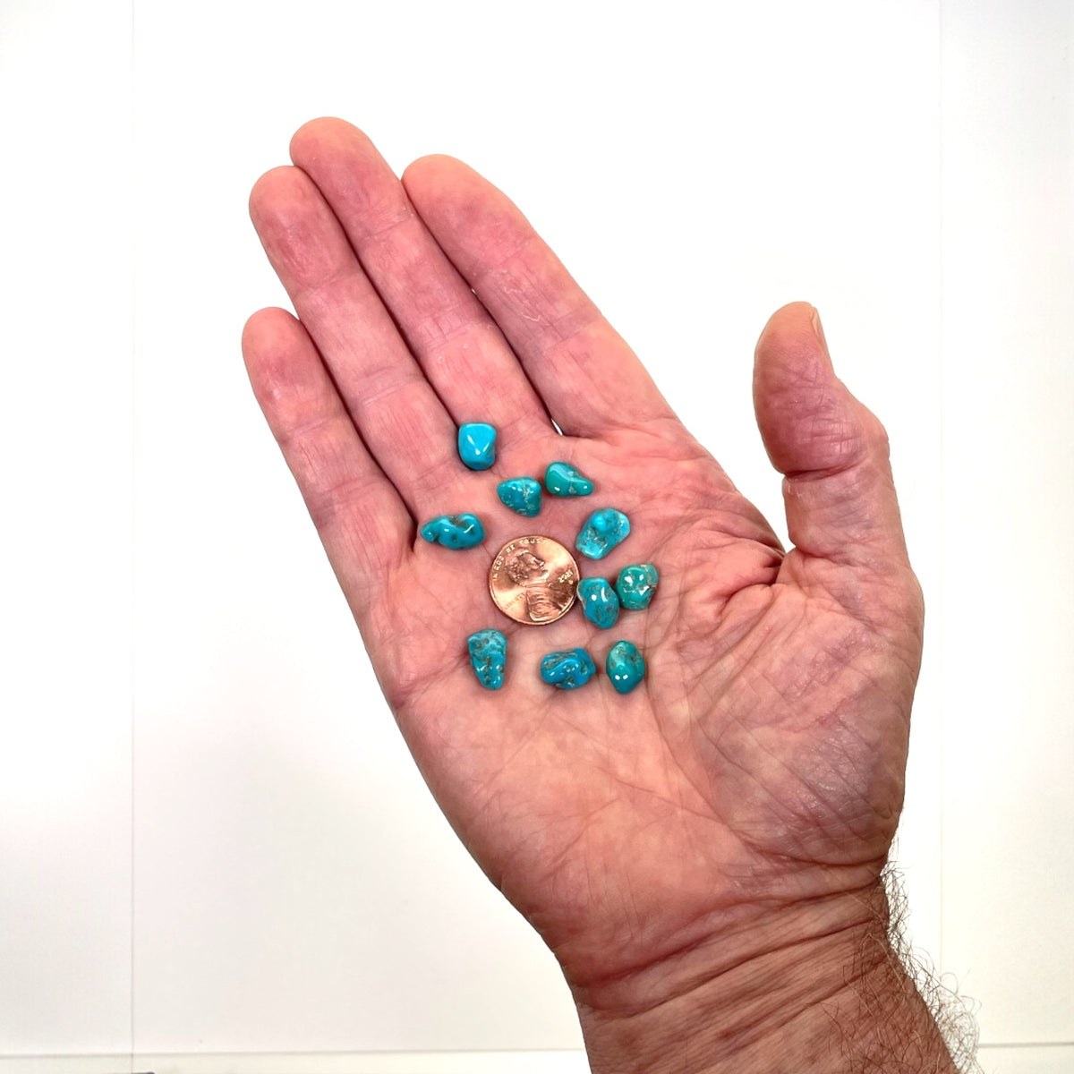Turquoise Tumbled - Campitos, Mx, 8g