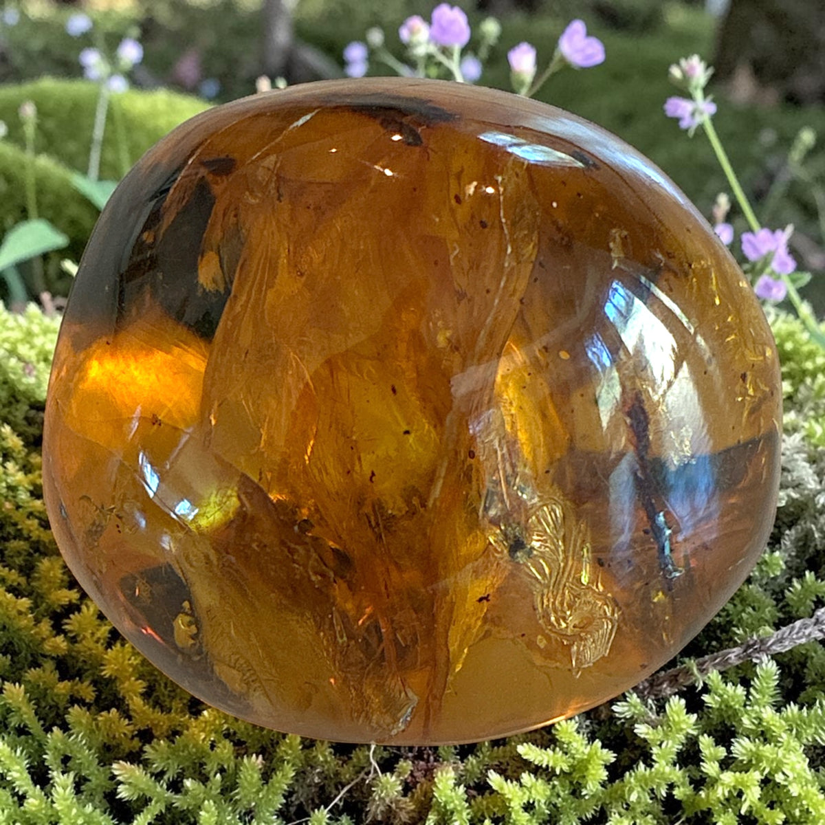 Amber Freeform - Simojovel, Chiapas, Mx, 20.5g