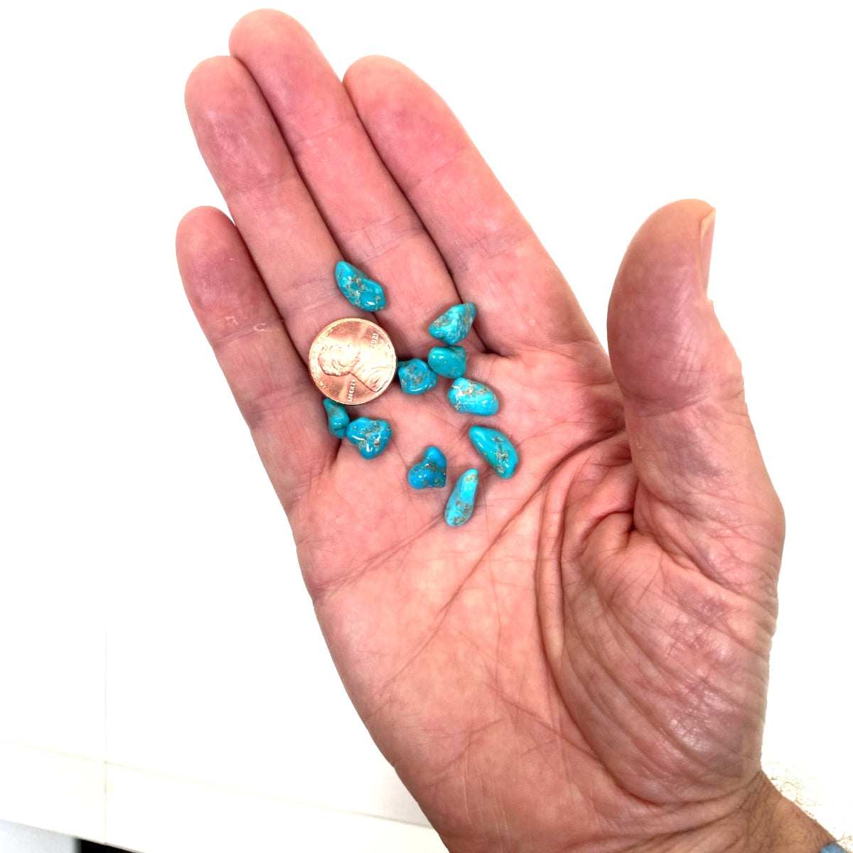 Turquoise Tumbled - Campitos, Mx, 6.5g