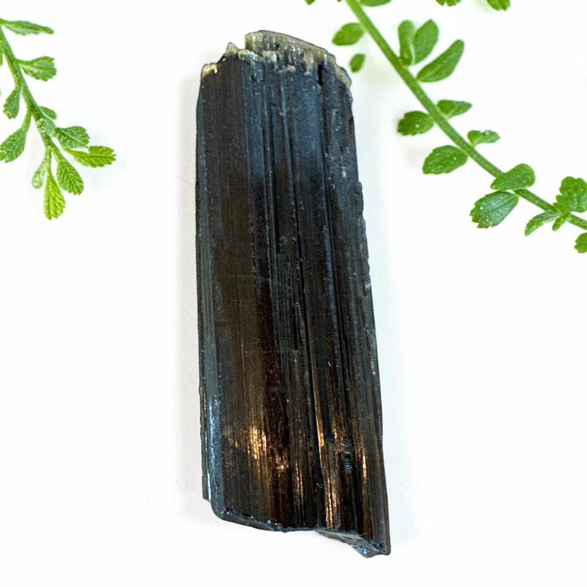 Dravite Tourmaline Specimen - Tanzania, 82.5g