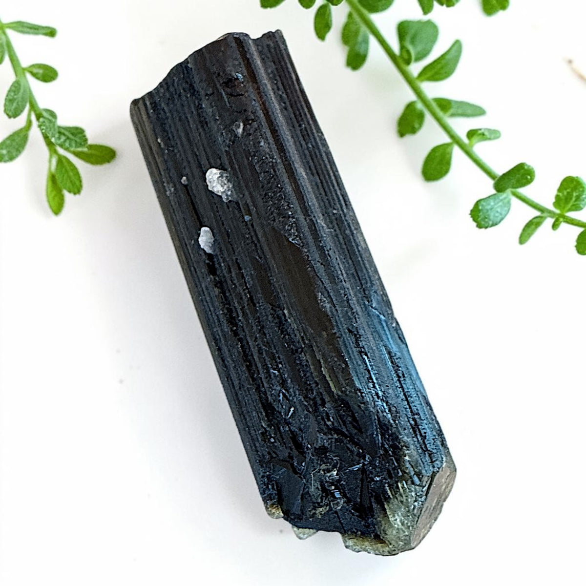 Dravite Tourmaline Specimen - Tanzania, 82.5g