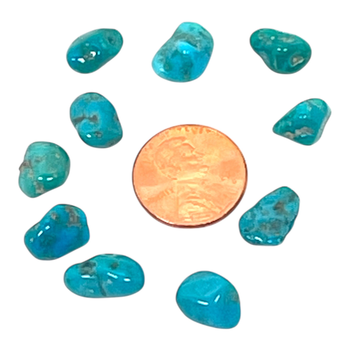 Turquoise Tumbled - Campitos, Mx, 8g