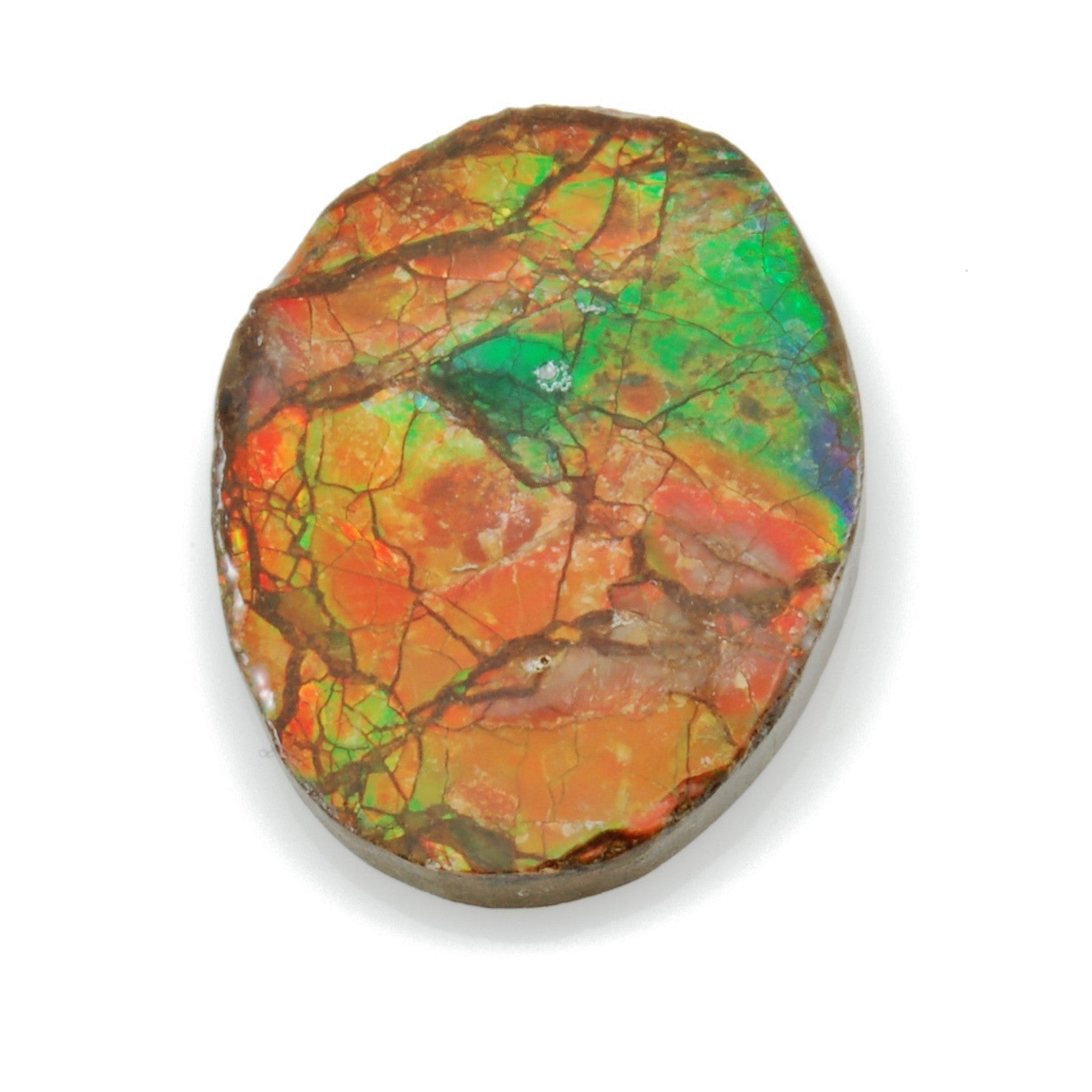 Ammolite Iridescent Oval Cabochon