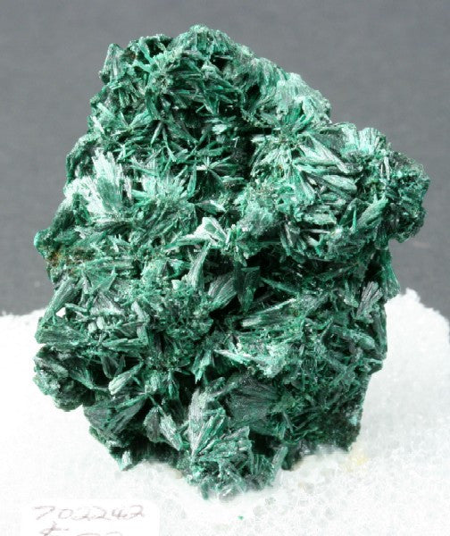 Malachite Fiberous Crystal 1.50&quot; x 1.75&quot; x 1.00&quot;