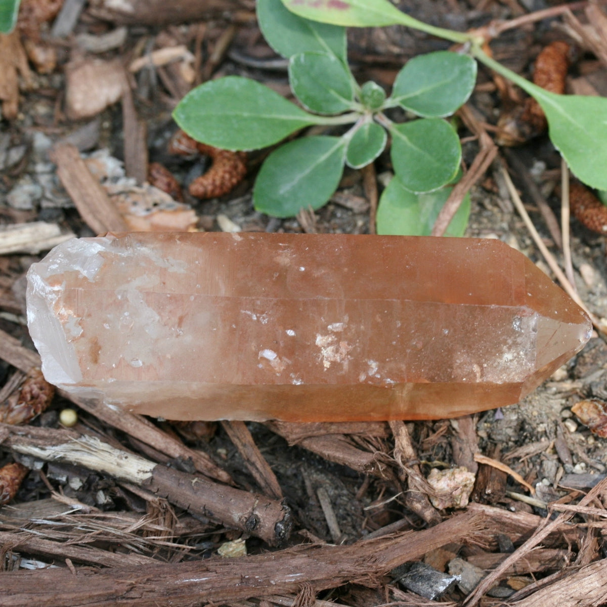 Tangerine Quartz Point, 137.6g