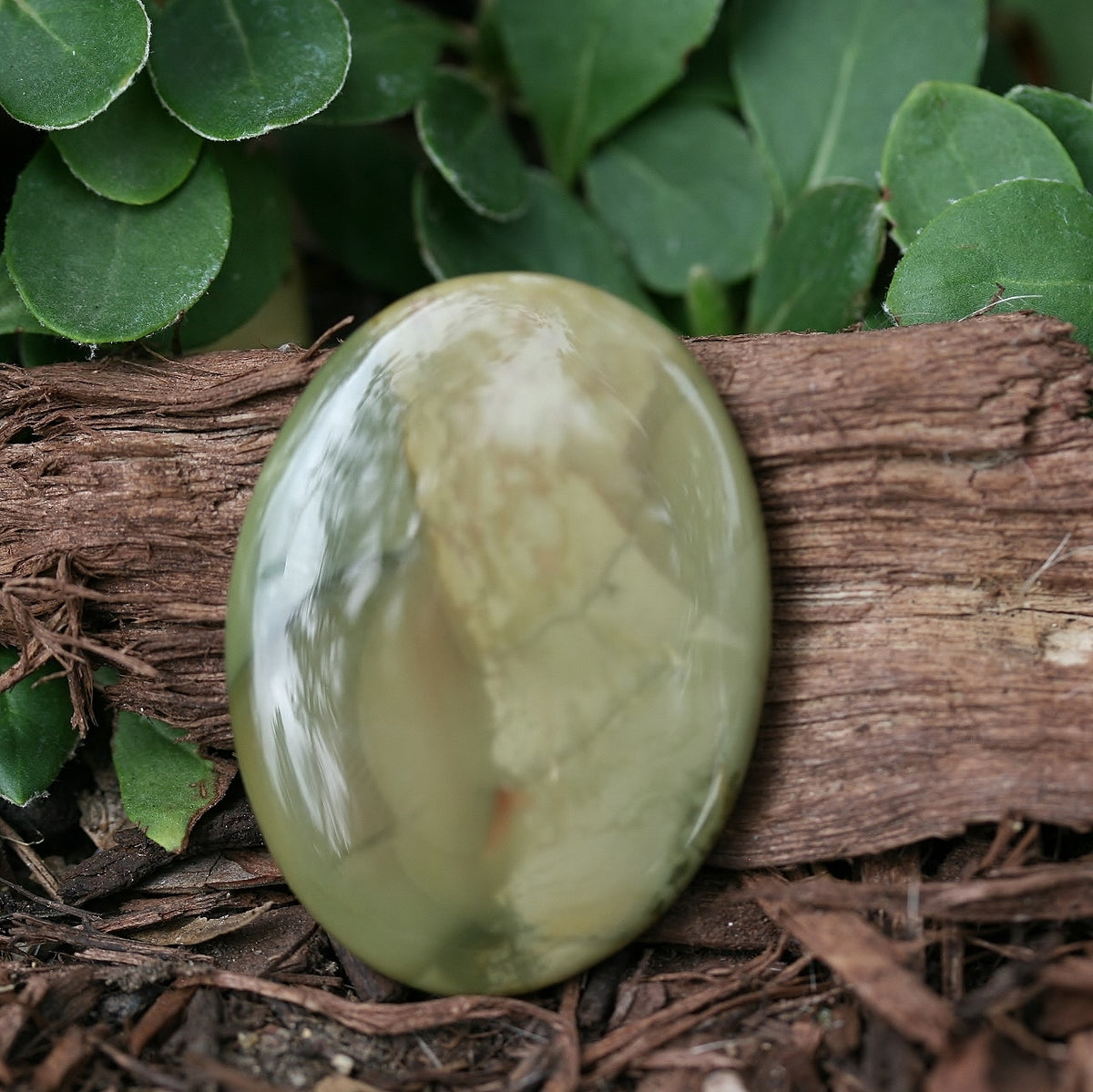 Morrisonite Jasper Oval Cabochons, 9.4g