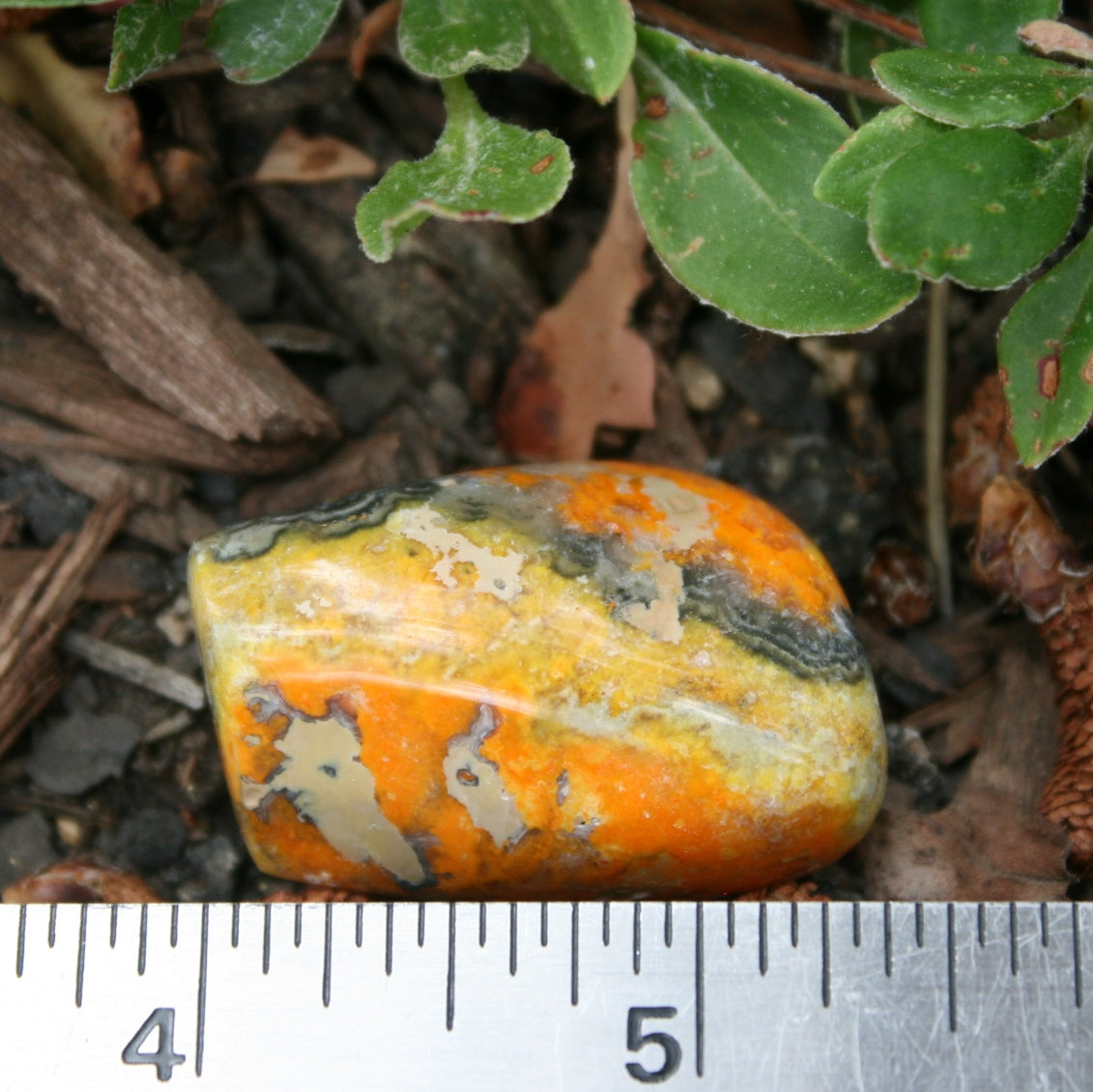 Bumblebee Jasper Sculpture, 24.4 grams