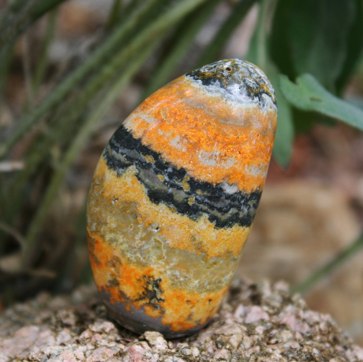 Bumblebee Jasper Sculpture, 77 grams