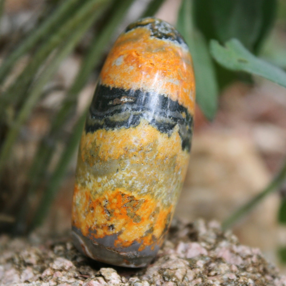 Bumblebee Jasper Sculpture, 77 grams
