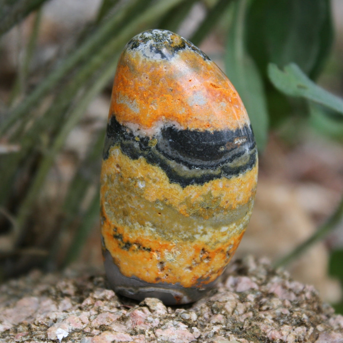 Bumblebee Jasper Sculpture, 77 grams