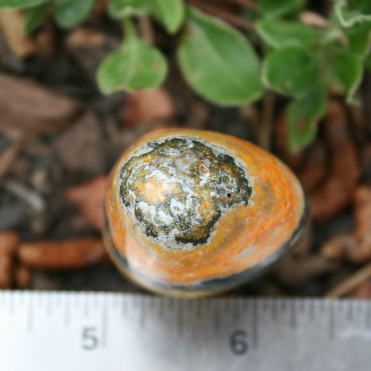 Bumblebee Jasper Sculpture, 77 grams