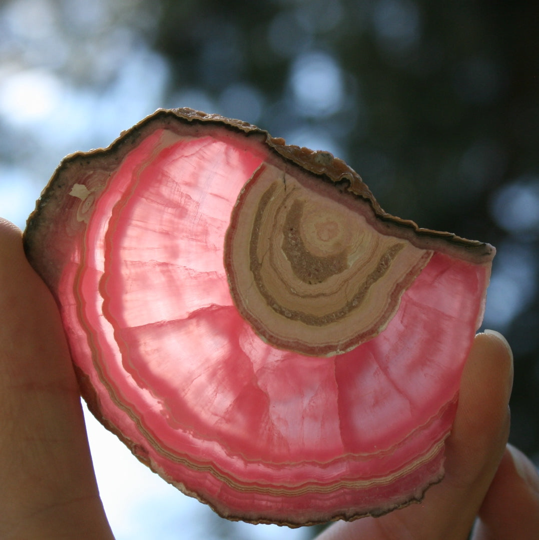 Rhodochrosite Stalactite Slice from Argentina, 54.5 grams