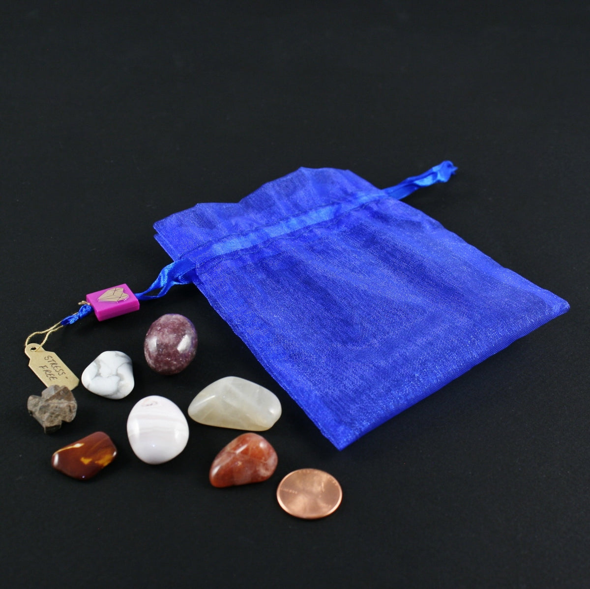 Stress-Free Pouch with Reference Pamphlet