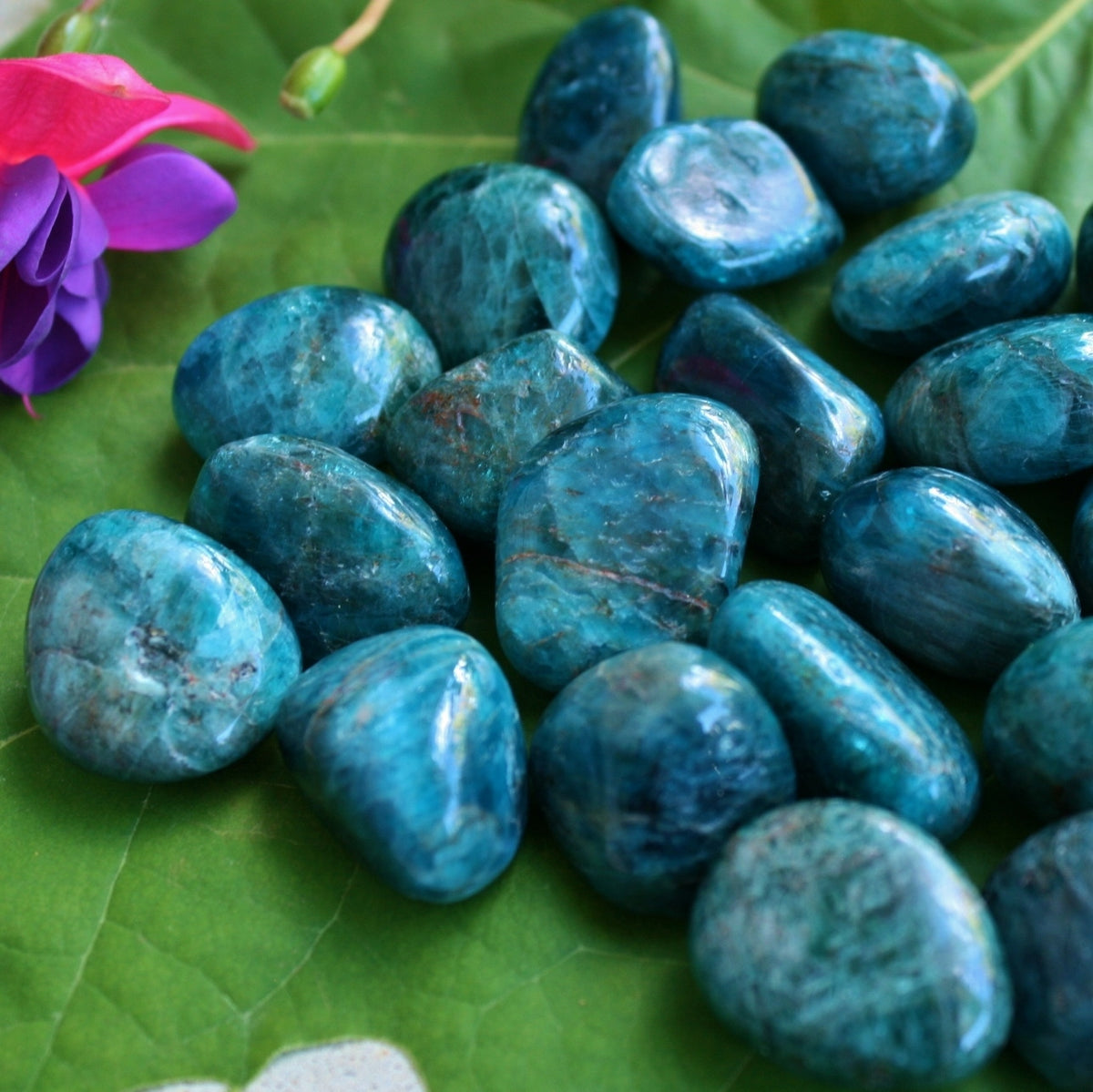 ONE Blue Apatite Polished Tumbled Stone from Madagascar, 6-10 grams each