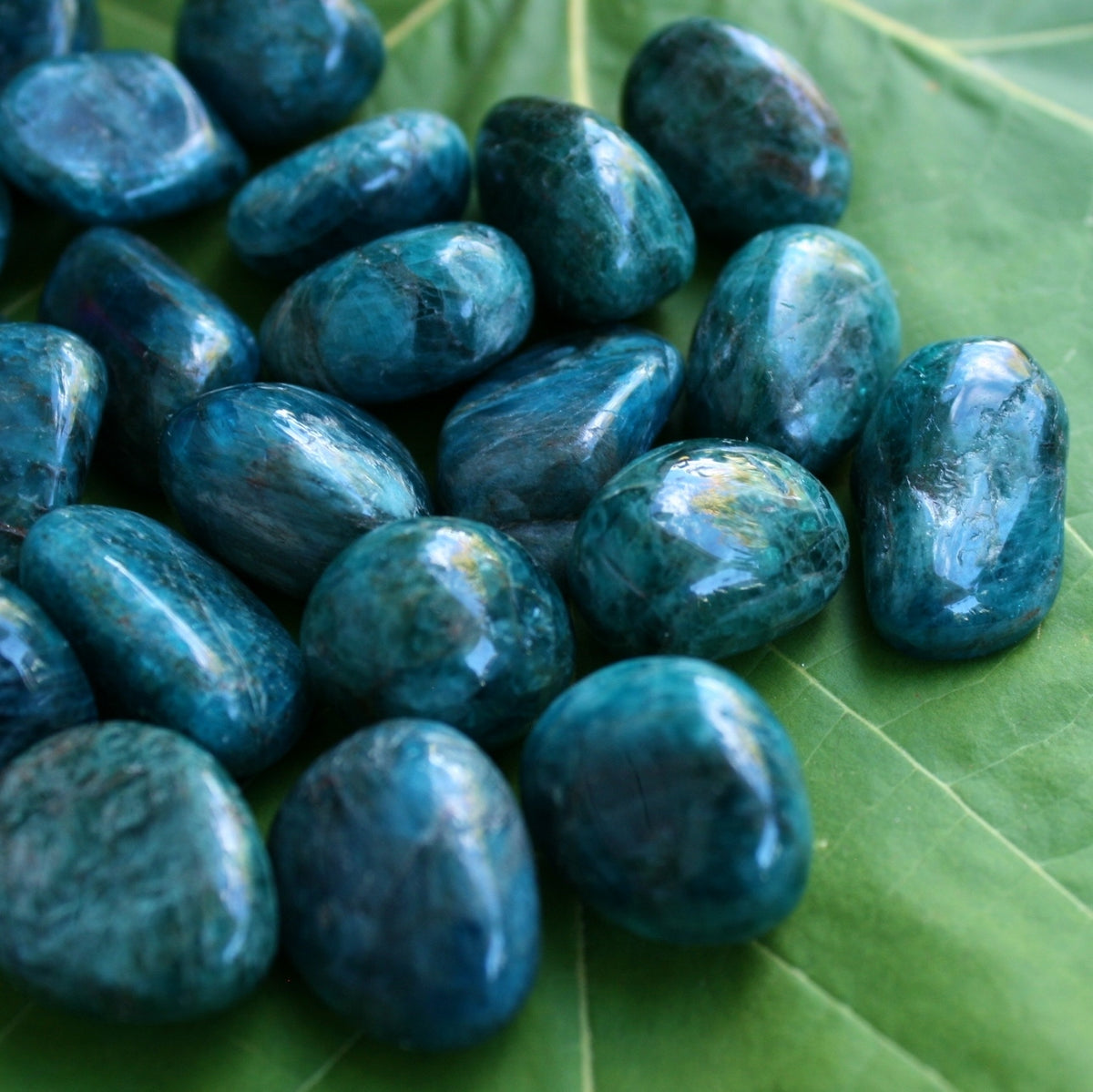 ONE Blue Apatite Polished Tumbled Stone from Madagascar, 6-10 grams each