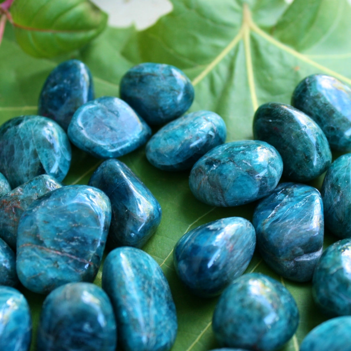 ONE Blue Apatite Polished Tumbled Stone from Madagascar, 6-10 grams each