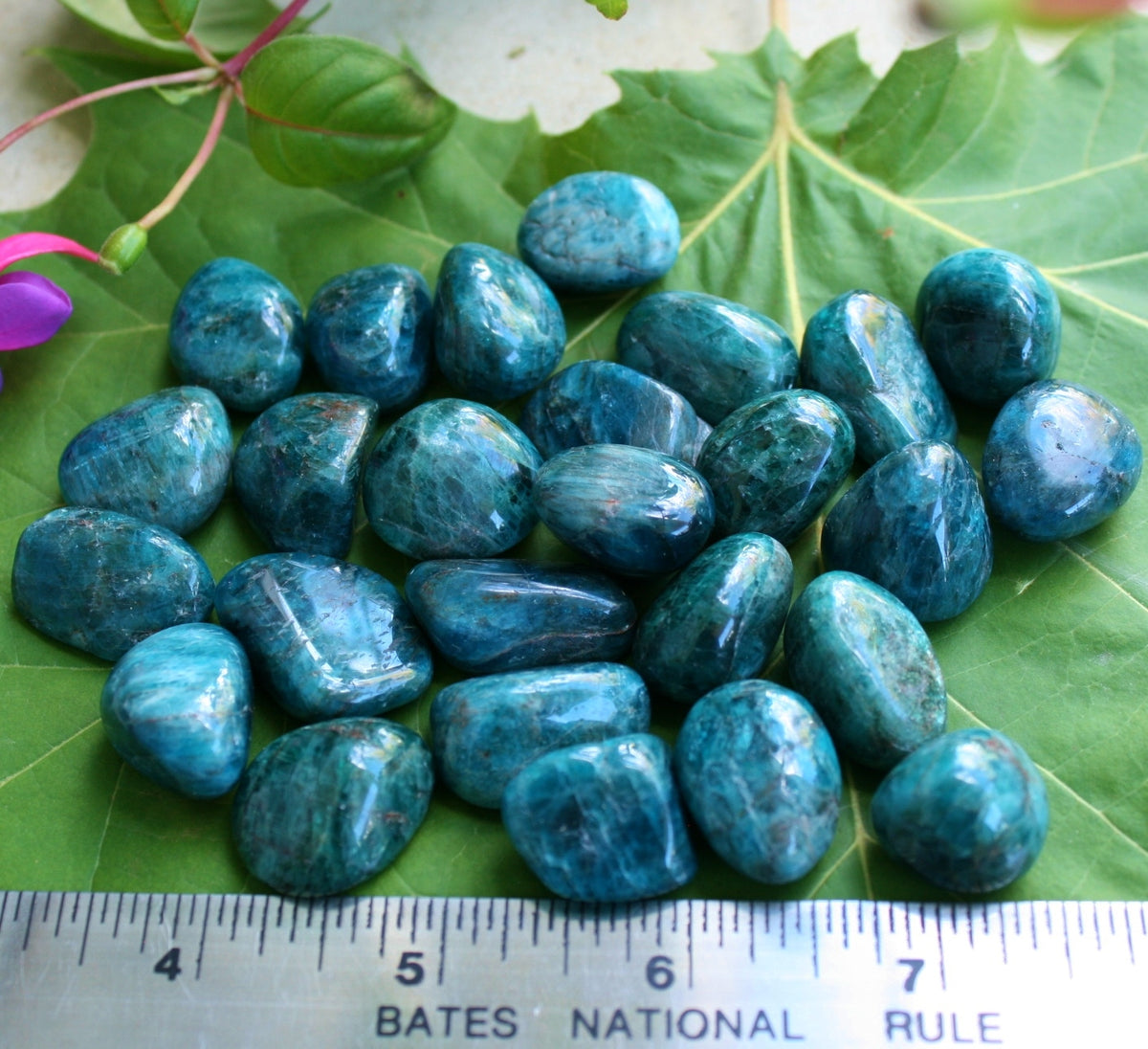 ONE Blue Apatite Polished Tumbled Stone from Madagascar, 6-10 grams each