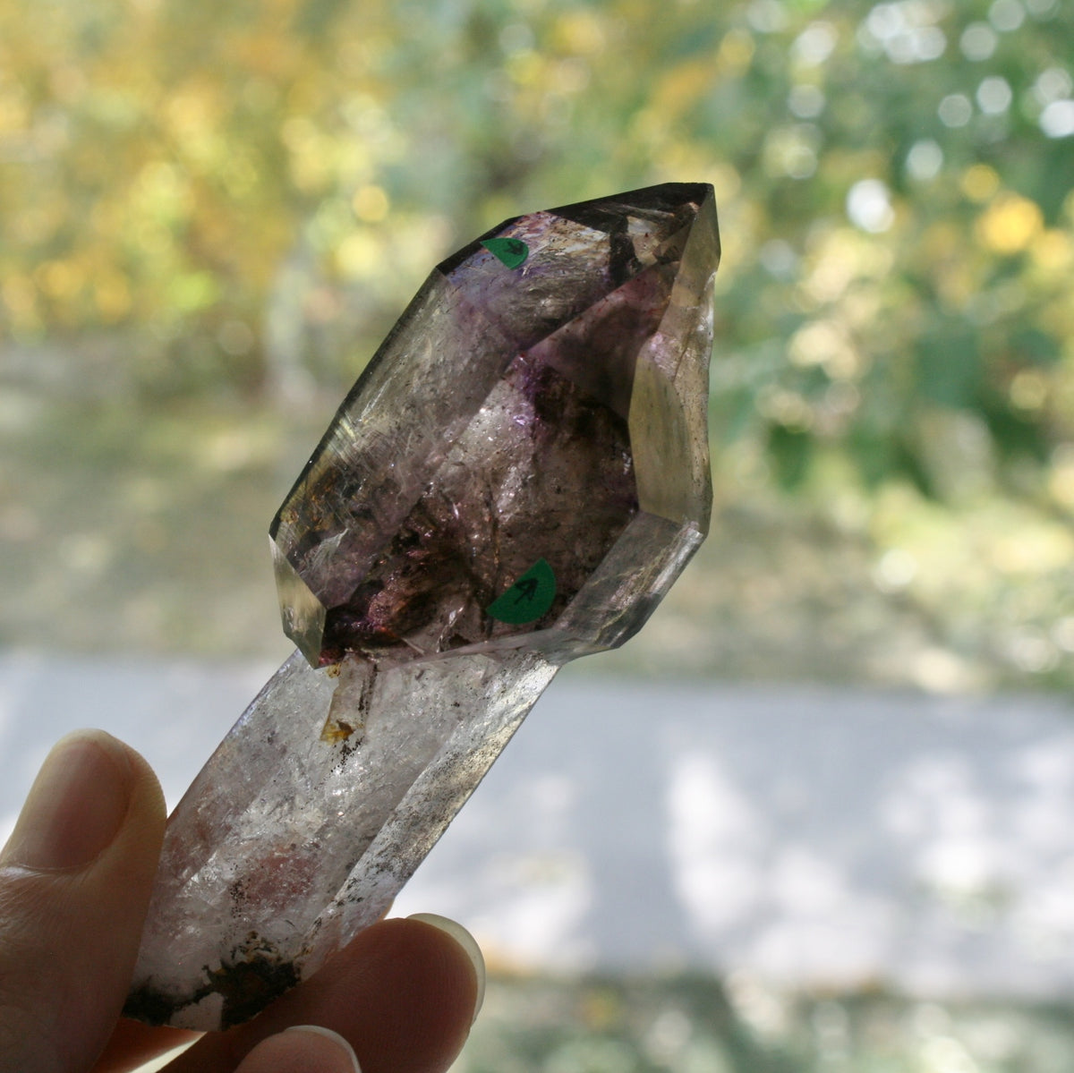 Smoky Quartz/Amethyst Scepter with 2 Enhydros, Lepidachrosite &amp; Hematite, from Lusaka Zambia, 78.6 grams