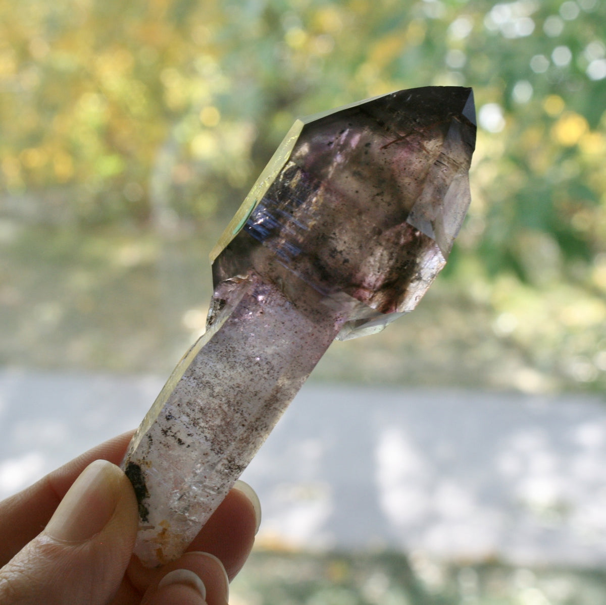 Smoky Quartz/Amethyst Scepter with 2 Enhydros, Lepidachrosite &amp; Hematite, from Lusaka Zambia, 78.6 grams