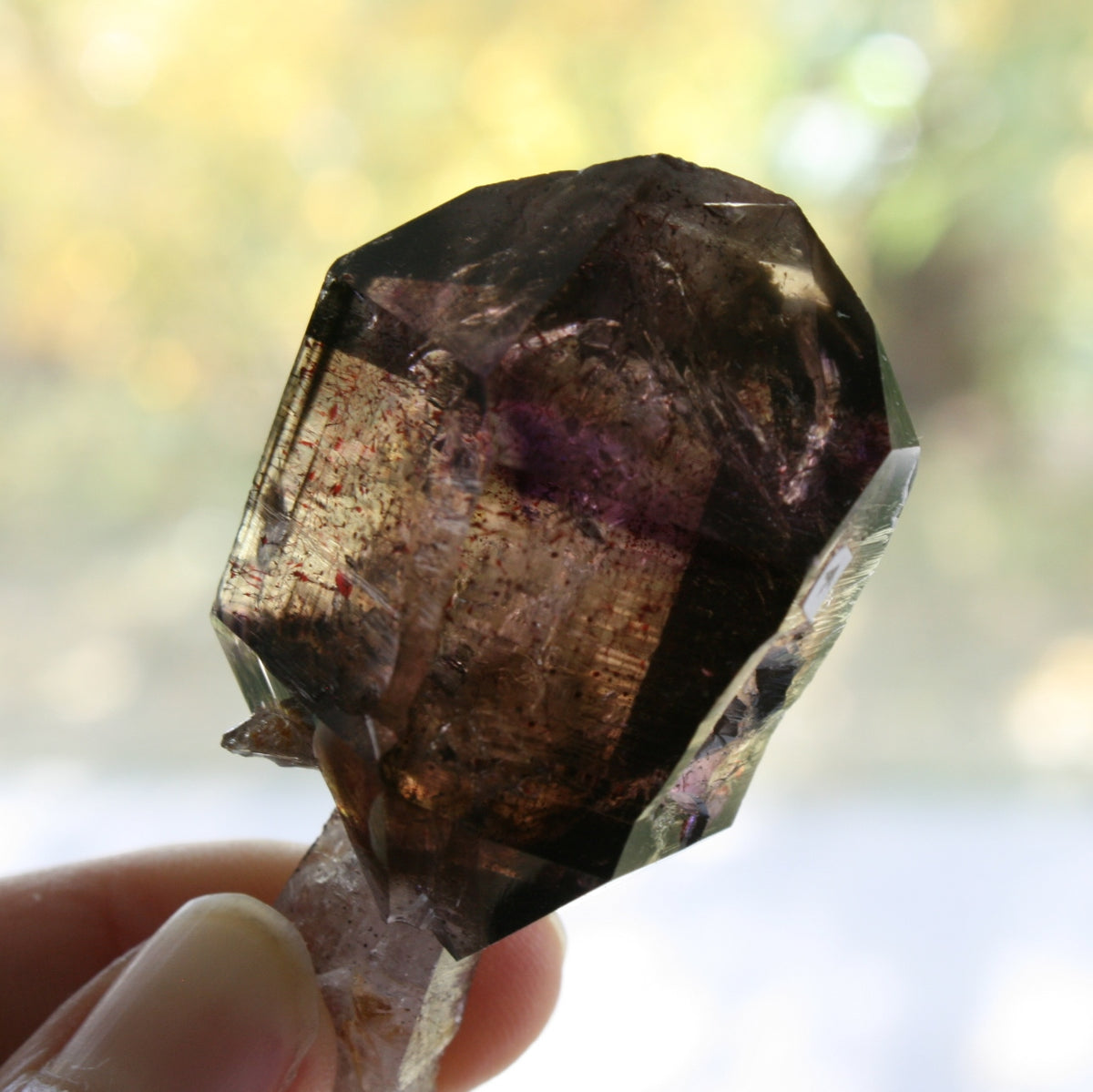 Smoky Quartz/Amethyst Scepter with 1 Enhydros, Lepidachrosite &amp; Hematite, from Lusaka, Zambia, 46.2 grams