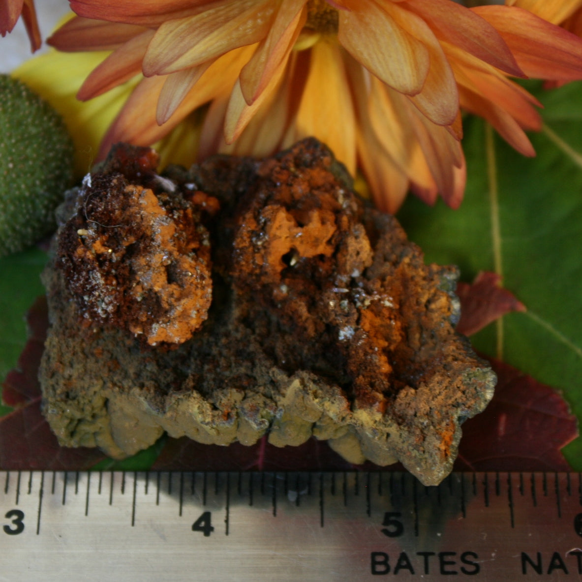 Mottramite Specimen, 71.3 grams