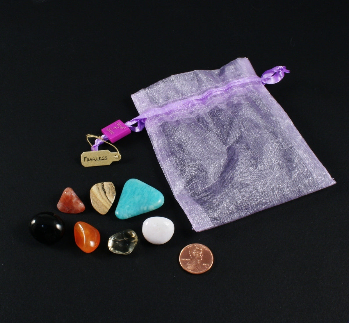 Fearless Pouch with Reference Pamphlet