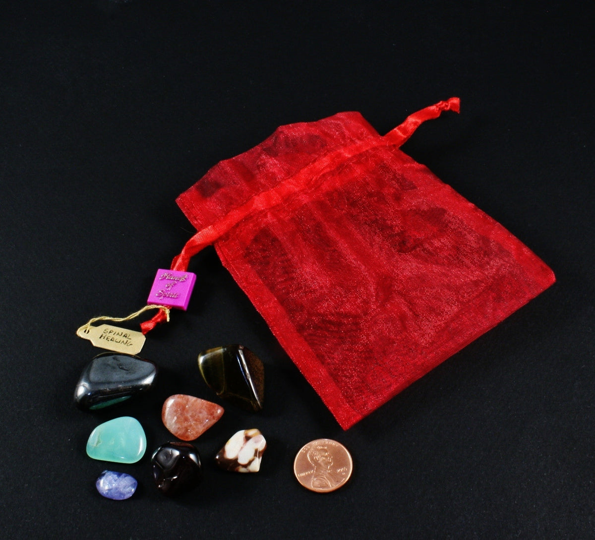 Spinal Healing Pouch with Reference Pamphlet
